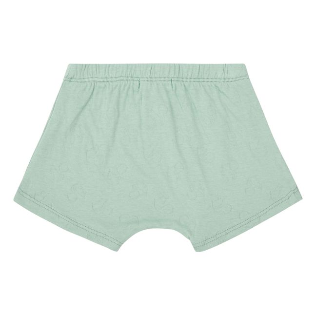 Boxer Coton Bio Nino | Bleu Clair