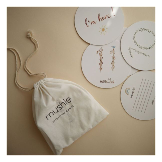 Tarjetas de etapas