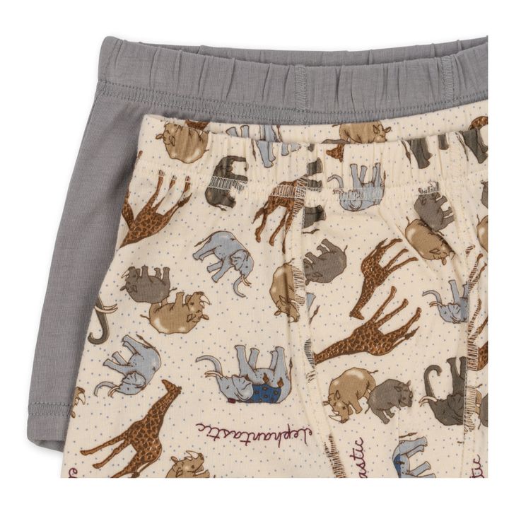 2er-Pack Unterhosen aus Bio-Baumwolle Elefanten | Grau- Produktbild Nr. 1