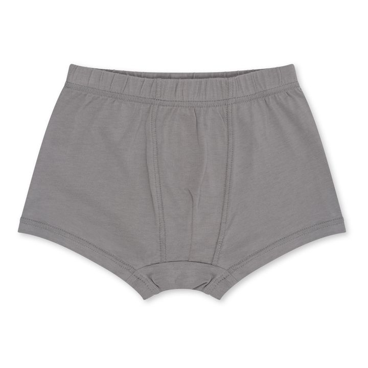 2er-Pack Unterhosen aus Bio-Baumwolle Elefanten | Grau- Produktbild Nr. 4