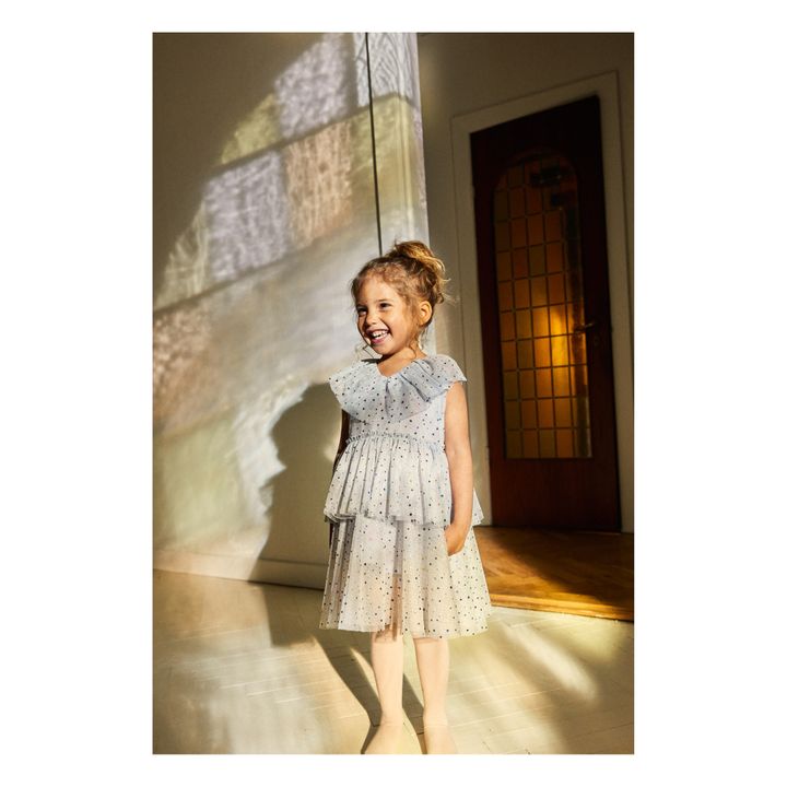 Vestido de hada | Azul Gris- Imagen del producto n°1