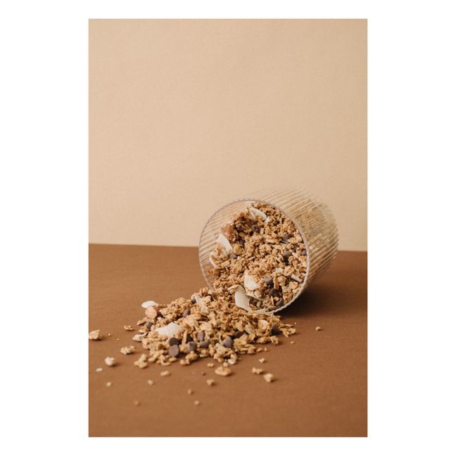 Granola boost fer Granochoc - 250 g