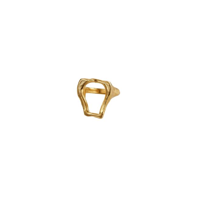 Bague The Link of Wanderlust | Doré