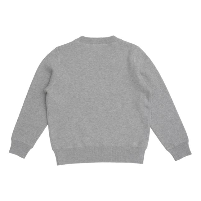 Roger Cotton Cashmere Sweater | Grey