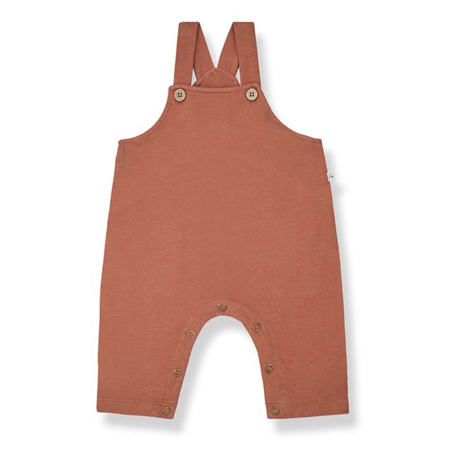 Peto Udo | Terracotta