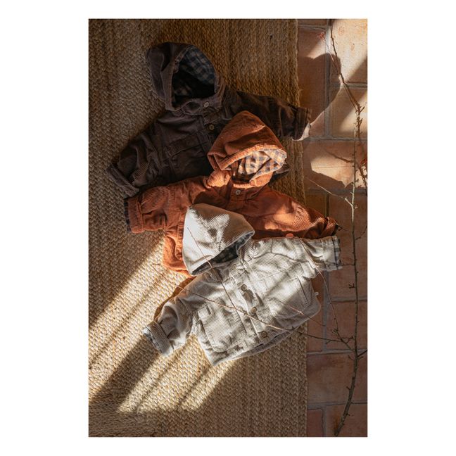 Veste Capuche Velours Côtelé Kurt | Marron