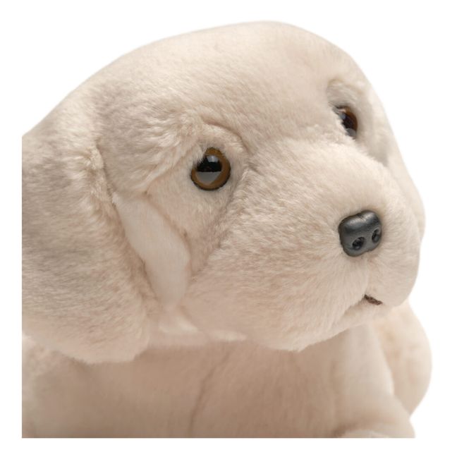 Peluche Chien labrador Marius | Beige