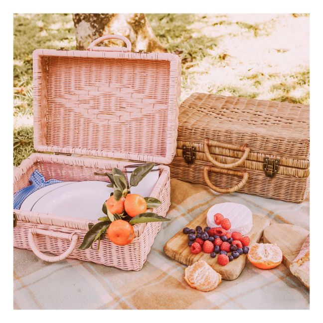 Toaty Trunk Rattan Suitcase