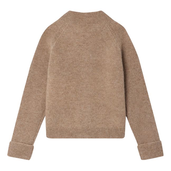 Gilet Zippé Cachemire Thylio | Maulwurfsfarben
