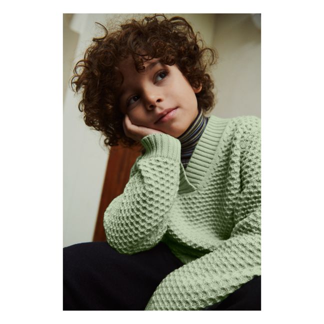 Merino wool V-neck jumper | Almond green