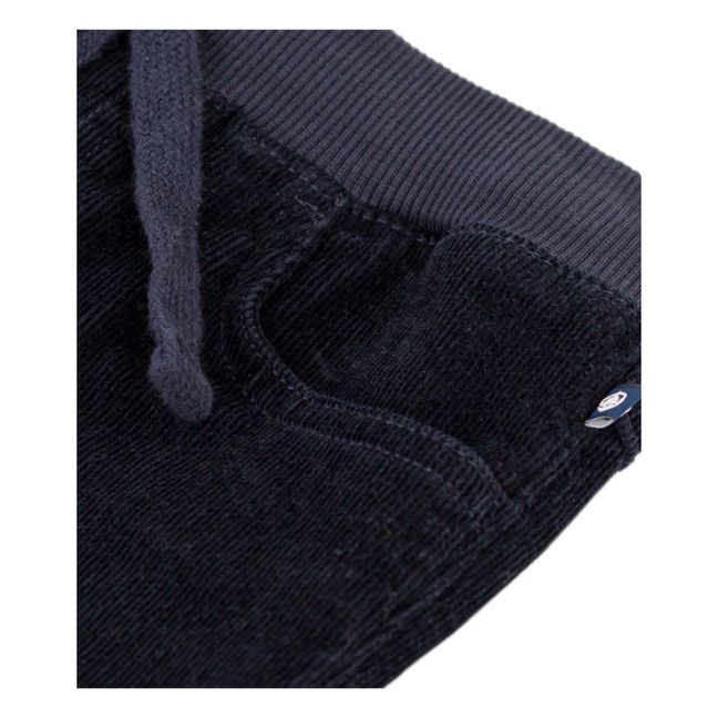 Pantalon en Velours | Navy
