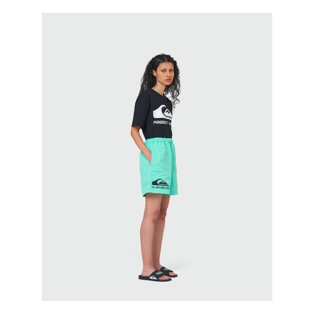 Avnier x Quicksilver collaboration - Amphibian Shorts | Verde acqua