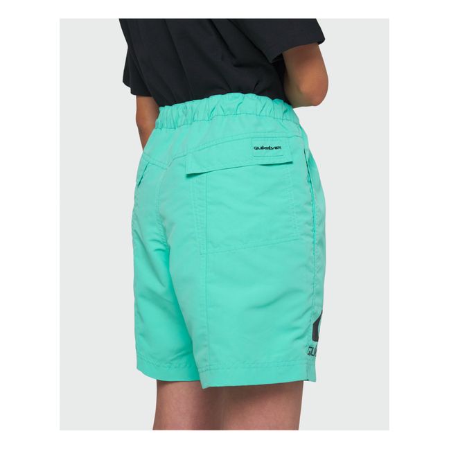 Avnier x Quicksilver collaboration - Amphibian Shorts | Verde acqua