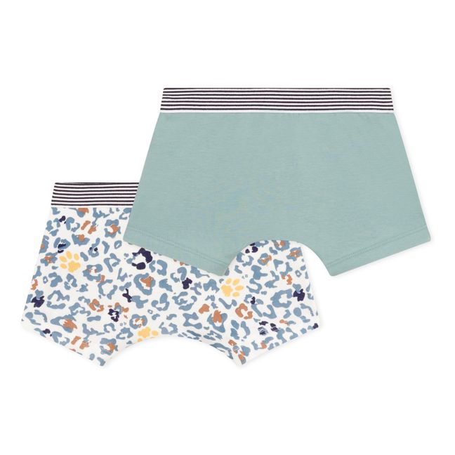 Lot 2 Boxershorts in Côte | Khaki