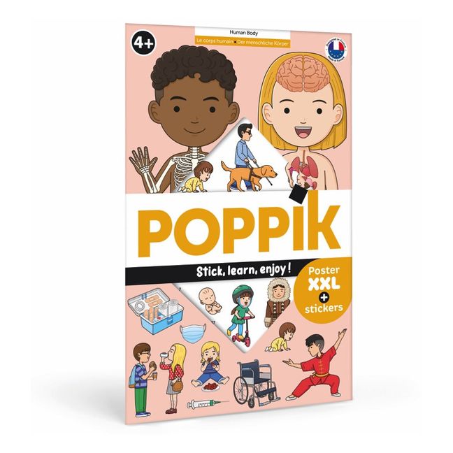 Poster sticker corpo umano