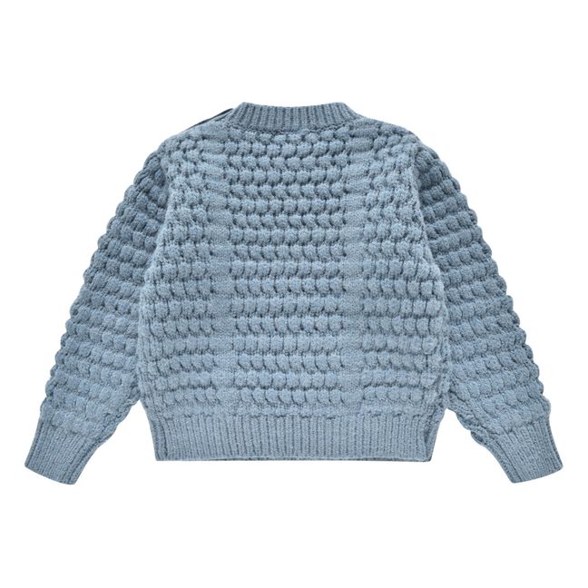 Amio Wool and Alpaca Jumper | Blue