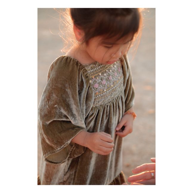 Olivina Hand Embroidered Velvet Dress | Khaki