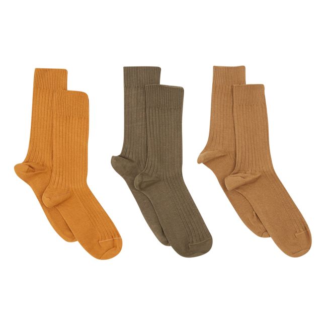 Lot de 3 Paires de Chaussettes Côtelées Kars | Marron