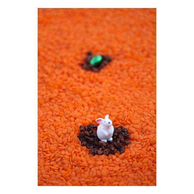 Bouteille sensorielle Lapin