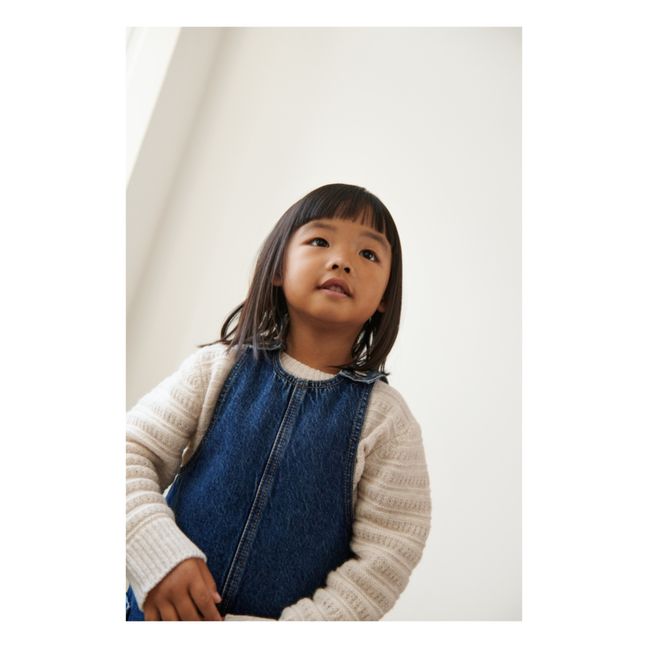 Robe Coton Bio Denim Maddie | Denim