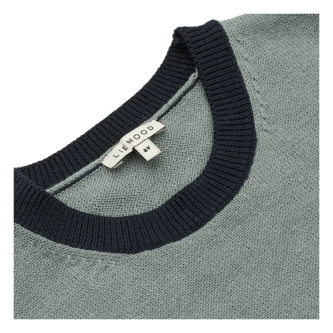 Pull Coton Bio Bicolore Omaha | Azul