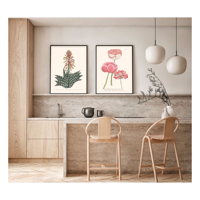 Planche Jardin Papaver Hortense