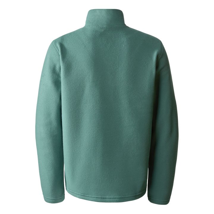 Glacier Fleece Jacket with Zip | Sage- Product image n°1