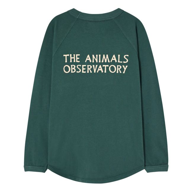 T-Shirt Anteater | Vert