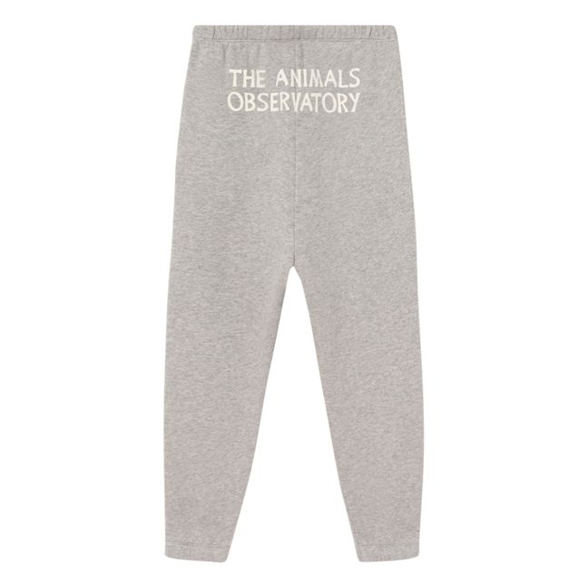 Jogger Dromedary | Gris chiné