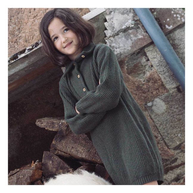 Clotilde Wool Knitted Turtleneck Dress | Chrome green