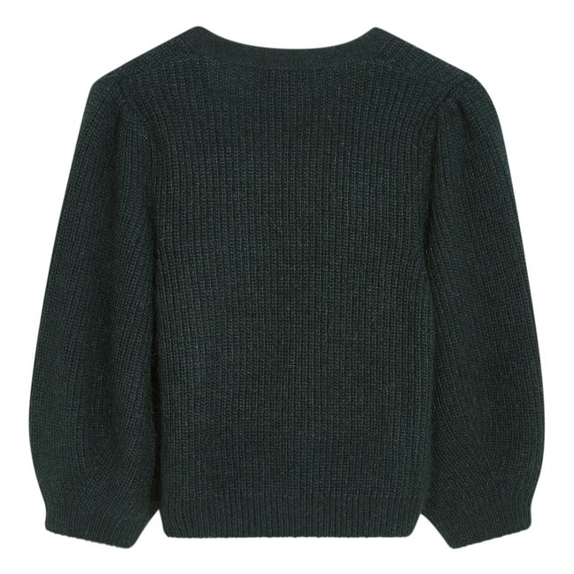 Gilet Diogi | Vert foncé
