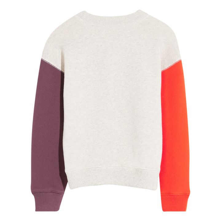 Fadol Colorblock sweatshirt | Heather grey- Product image n°3