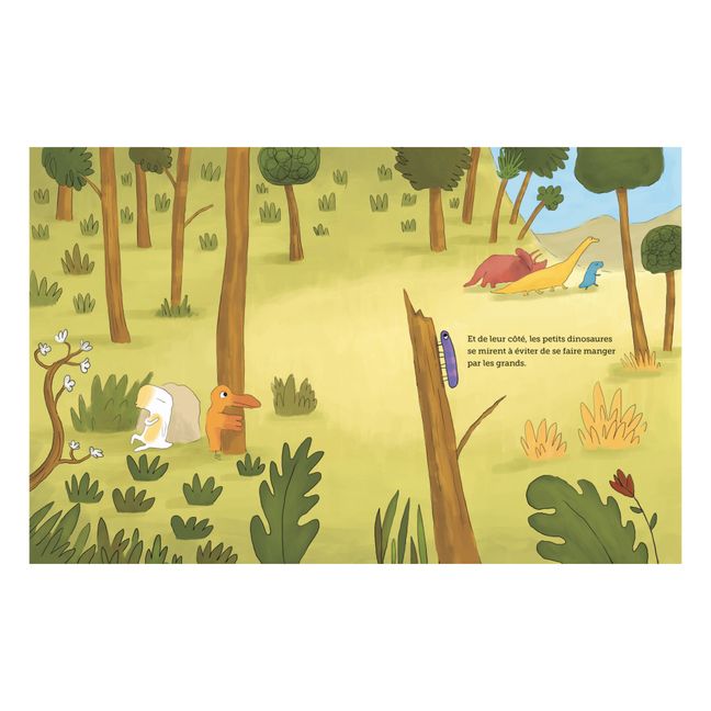 Livre Cache-cache dinos - G.Mazars & JB.Drouot 