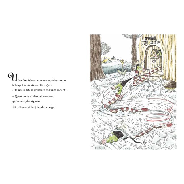 Livre Zip, le serpent qui découvrit le ski - M.Rivière