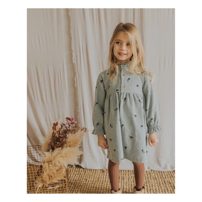 Robe Velours Milleraies Forest | Bleu gris