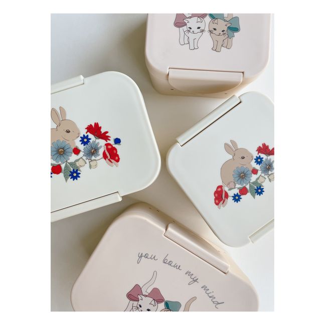 Lunch box en PLA | Seidenfarben