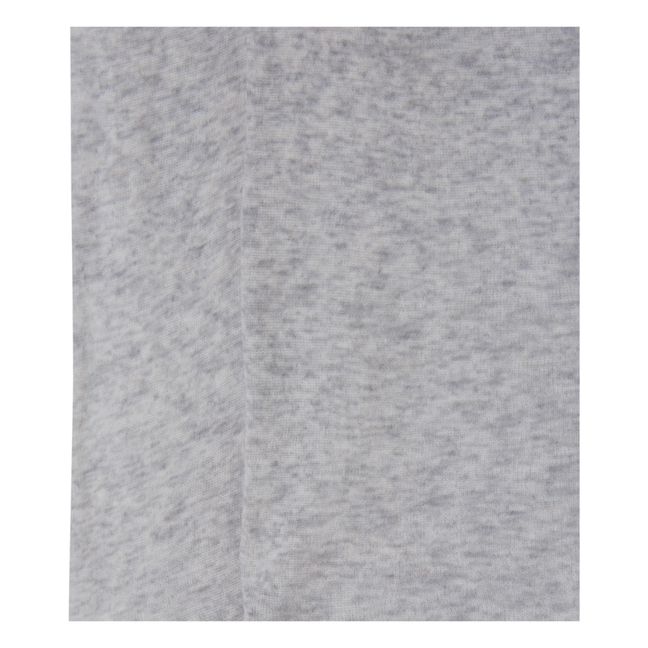 T-shirt Manches Longues Col Roulé Coton Supima Massachusetts | Gris chiné
