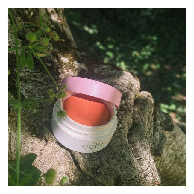 Getöntes Rouge - 10 g | Corail Breeze 004