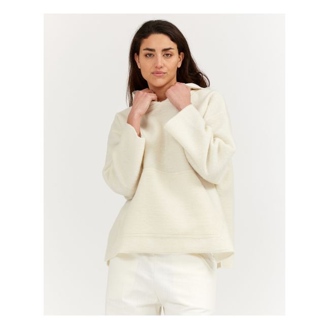 Sweatshirt Homer Gekochte Wolle | Seidenfarben