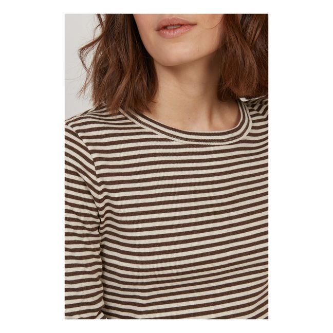 Camiseta Tampa Stripes | Marrón