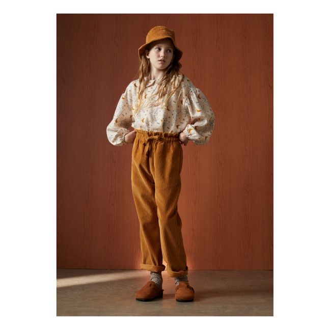 Bob Cameron | Ochre