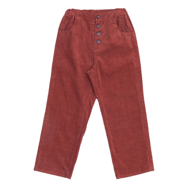 Harford Velvet Brown Pants