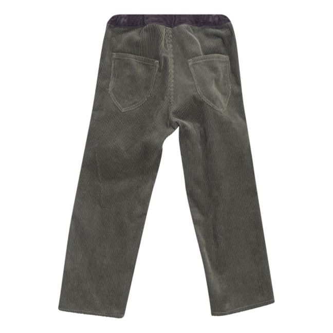 Pantaloni in velluto a coste bicolore Erodium | Cioccolato