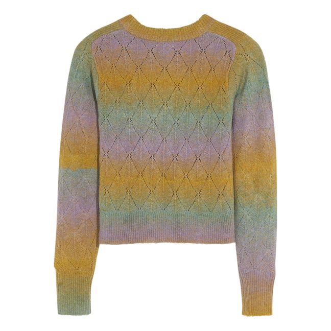 Multicolour Gatin jumper | Pastel