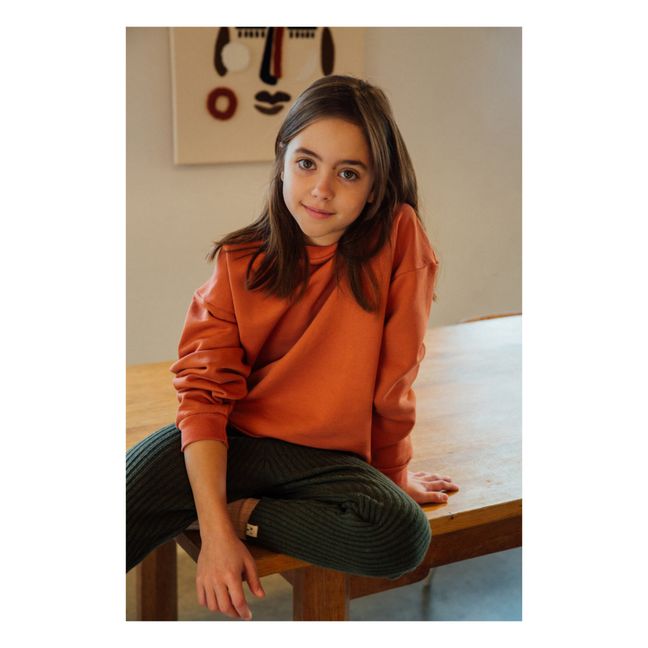 Organic cotton sweatshirt | Terracotta