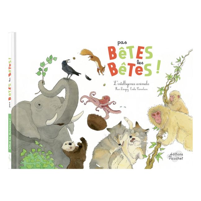 Livre Pas bêtes les bêtes ! 