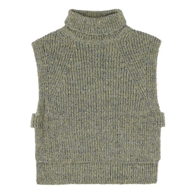 Mollie Sleeveless Sweater | Taupe brown