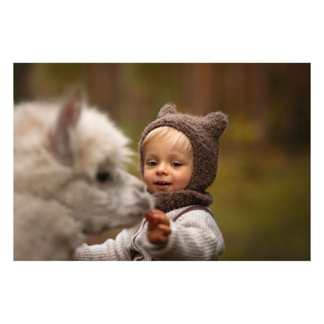 Cagoule Alpaga Bear | Brun