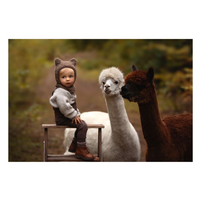 Cagoule Alpaga Bear | Brun