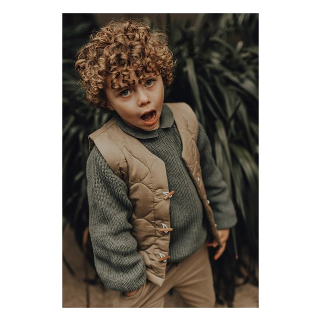 Maglione in cotone organico Cove | Verde